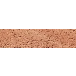 Facebrick R