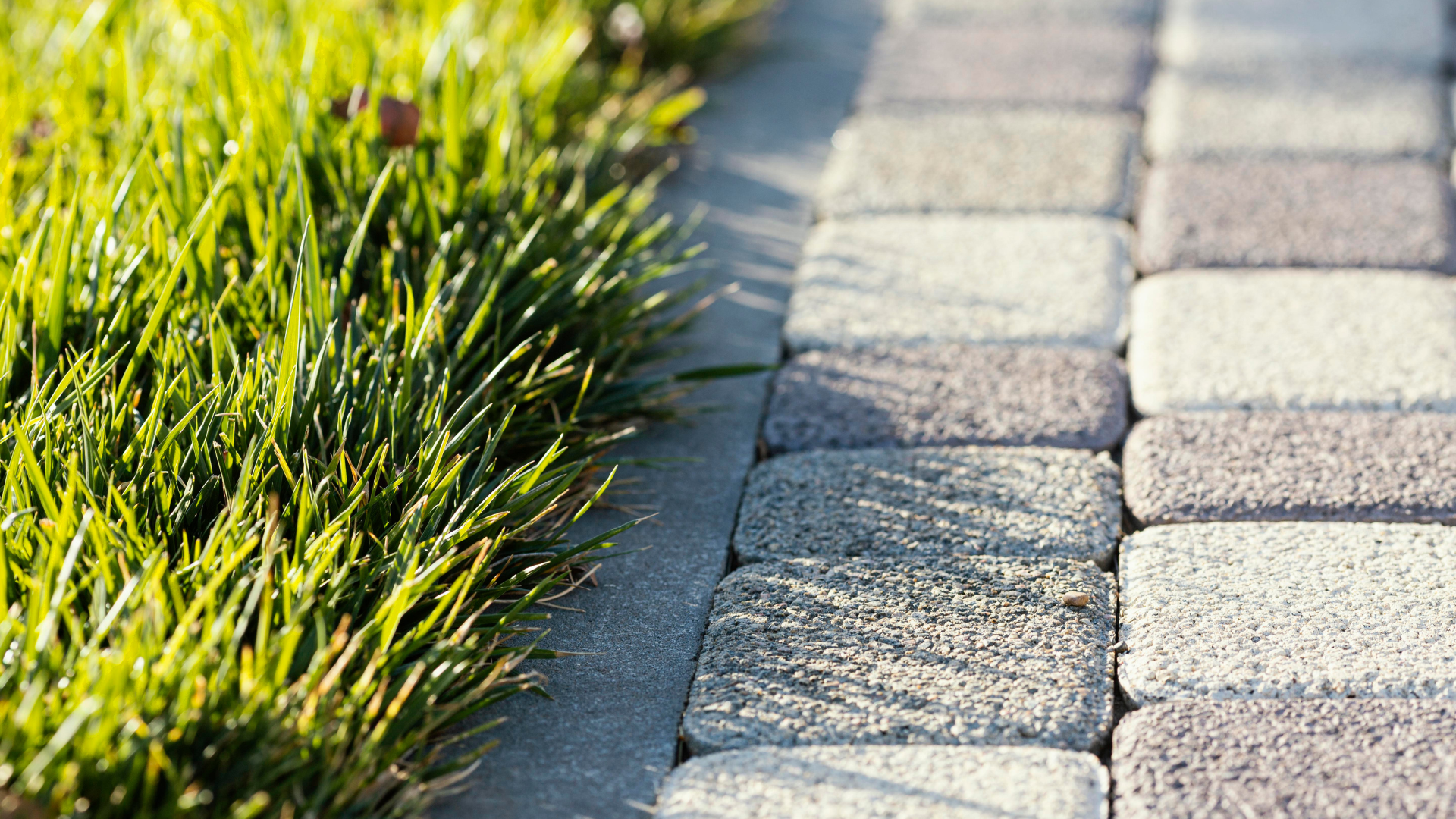 5 Pilihan Desain Paving Block untuk Jalan yang Bagus dan Kokoh
