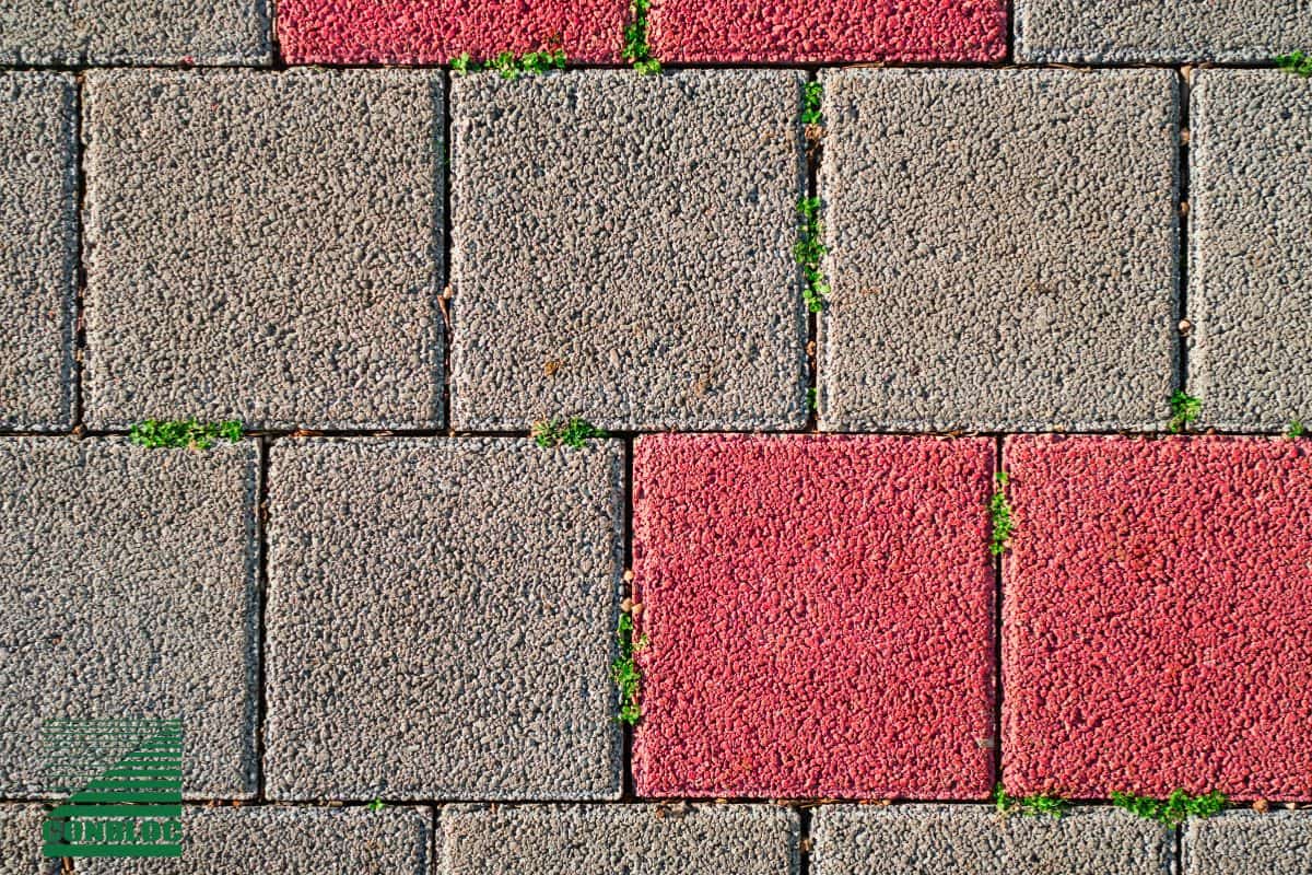 Mengenal Ukuran Paving Block & Panduan Memilih Sesuai Kebutuhan